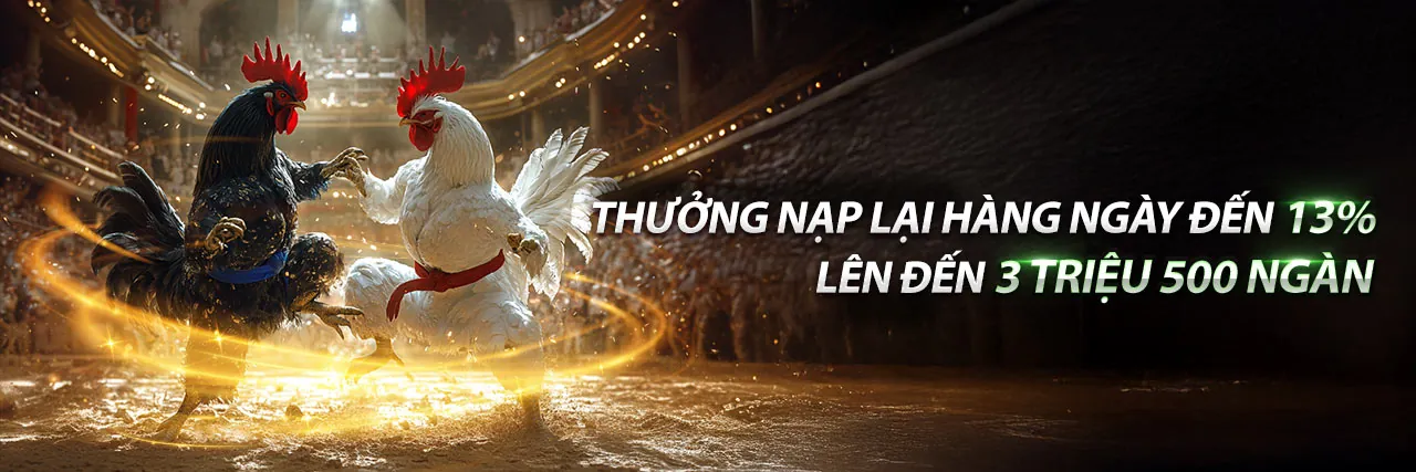 Đá Gà Thomo Việt Nam và Thái Lan - Sân Chơi Kịch Tính